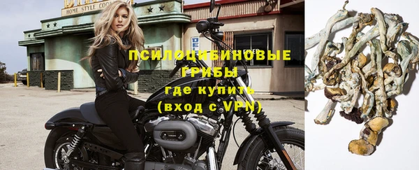 прущие крисы Новокубанск